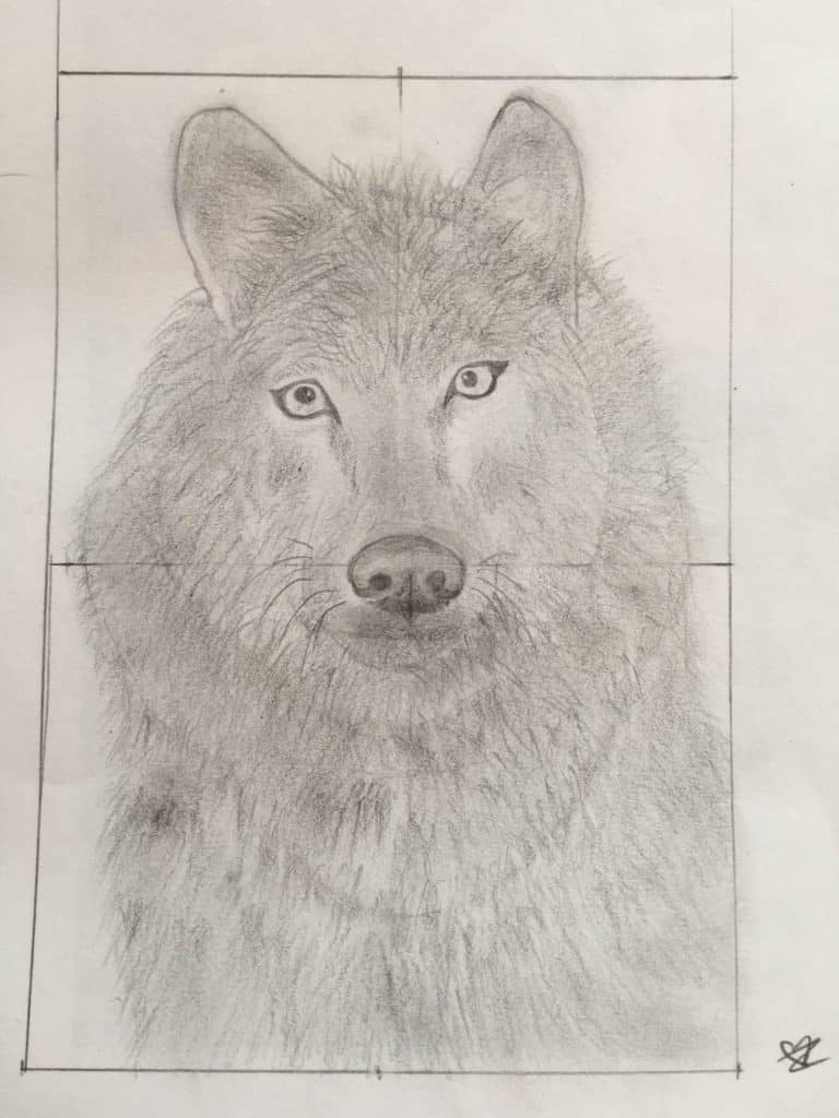 Dessin Croquis Crayon élève cours art plastique cours arts plastiques saint Nazaire bagnols sur ceze gard