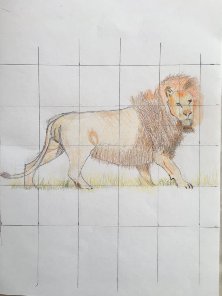 Dessin Croquis Crayon Couleurs élève cours art plastique cours arts plastiques saint Nazaire bagnols sur ceze gard