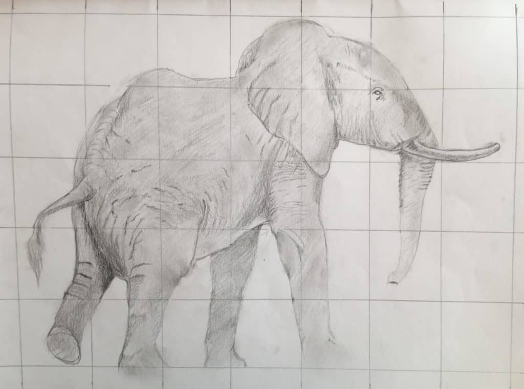 Dessin Croquis Crayon élève cours art plastique cours arts plastiques saint Nazaire bagnols sur ceze gard